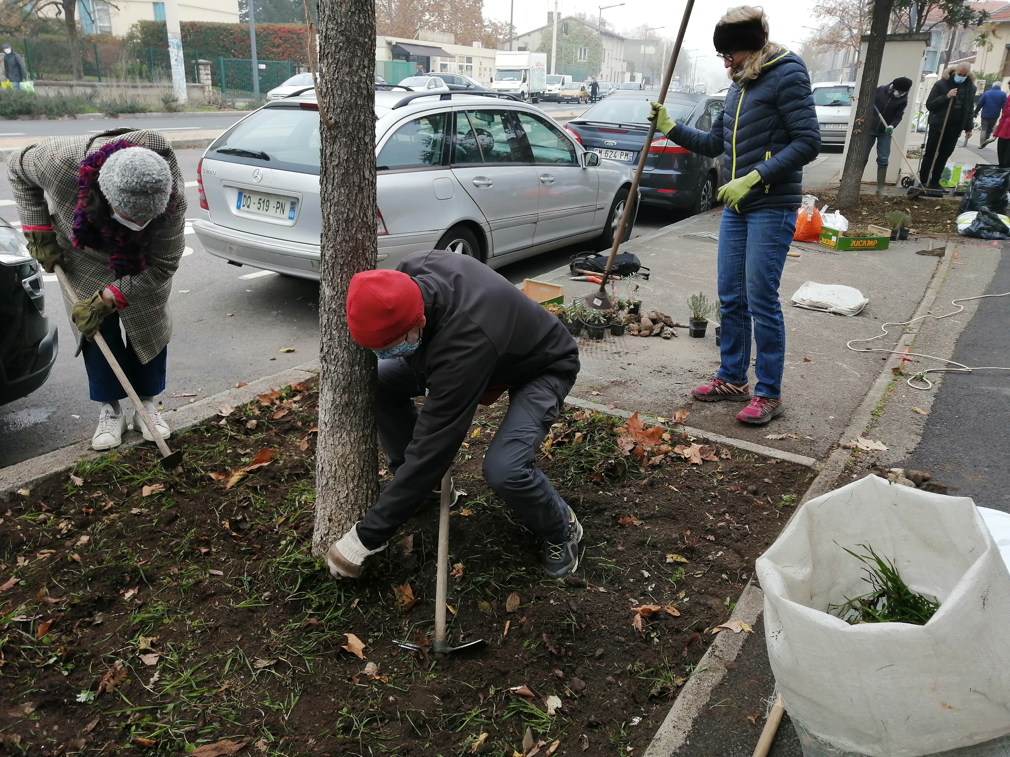 Jardin de rue  - 2 