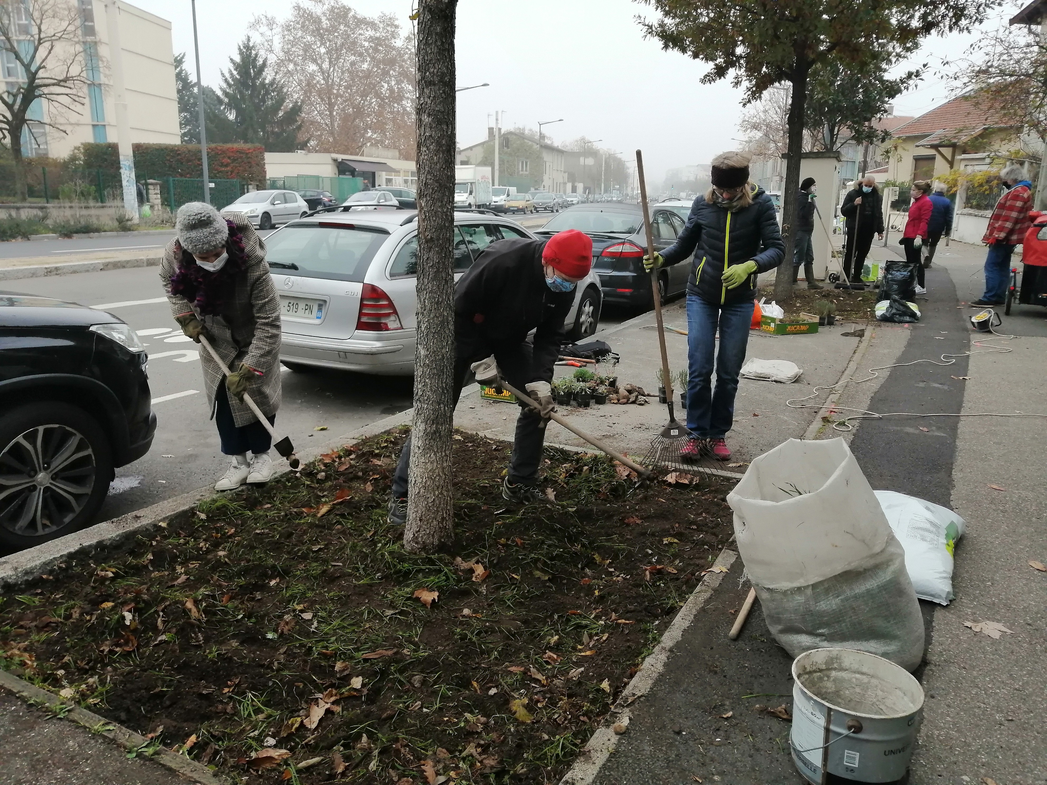 Jardin de rue  - 3 