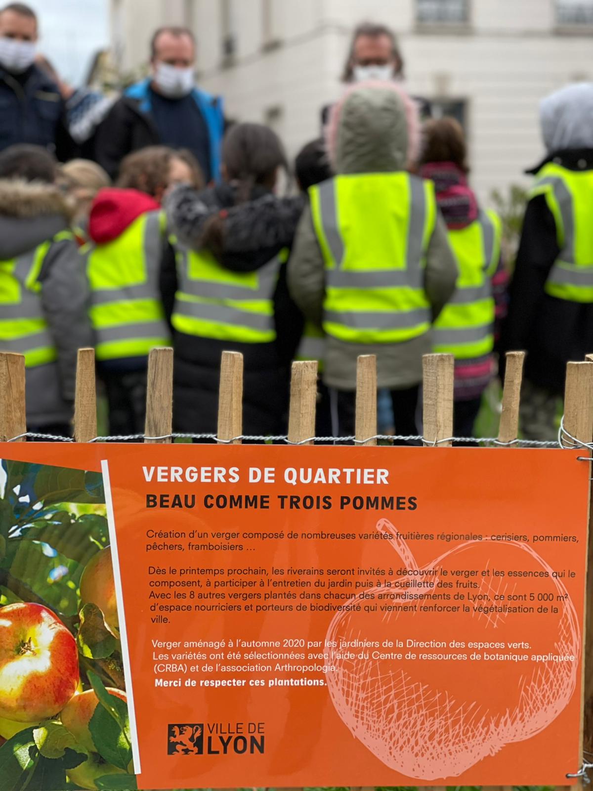 verger route de vienne  - 1 