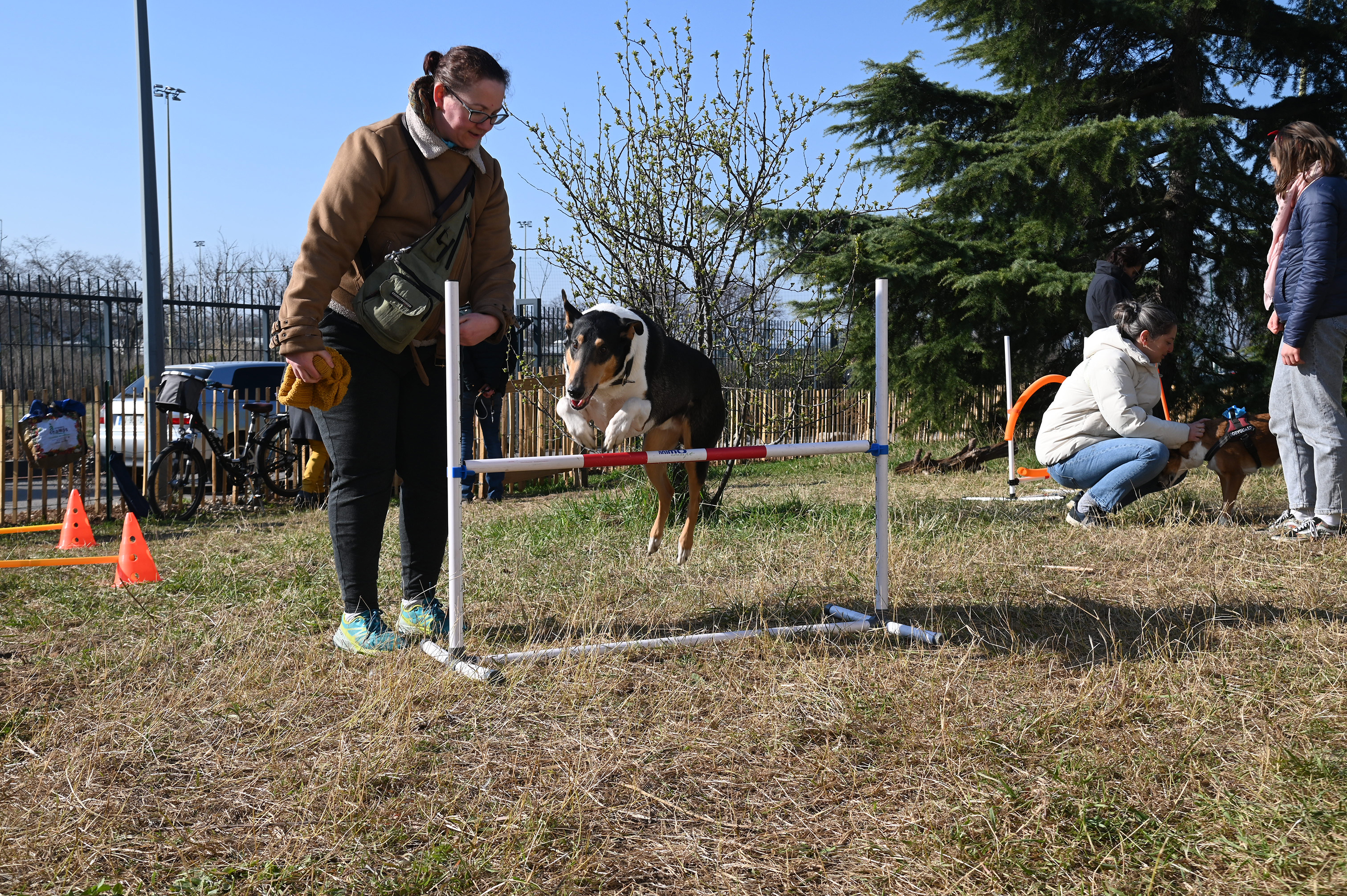 Animation d'agility lors de l'inauguration de l'aire d'ébat - 3 