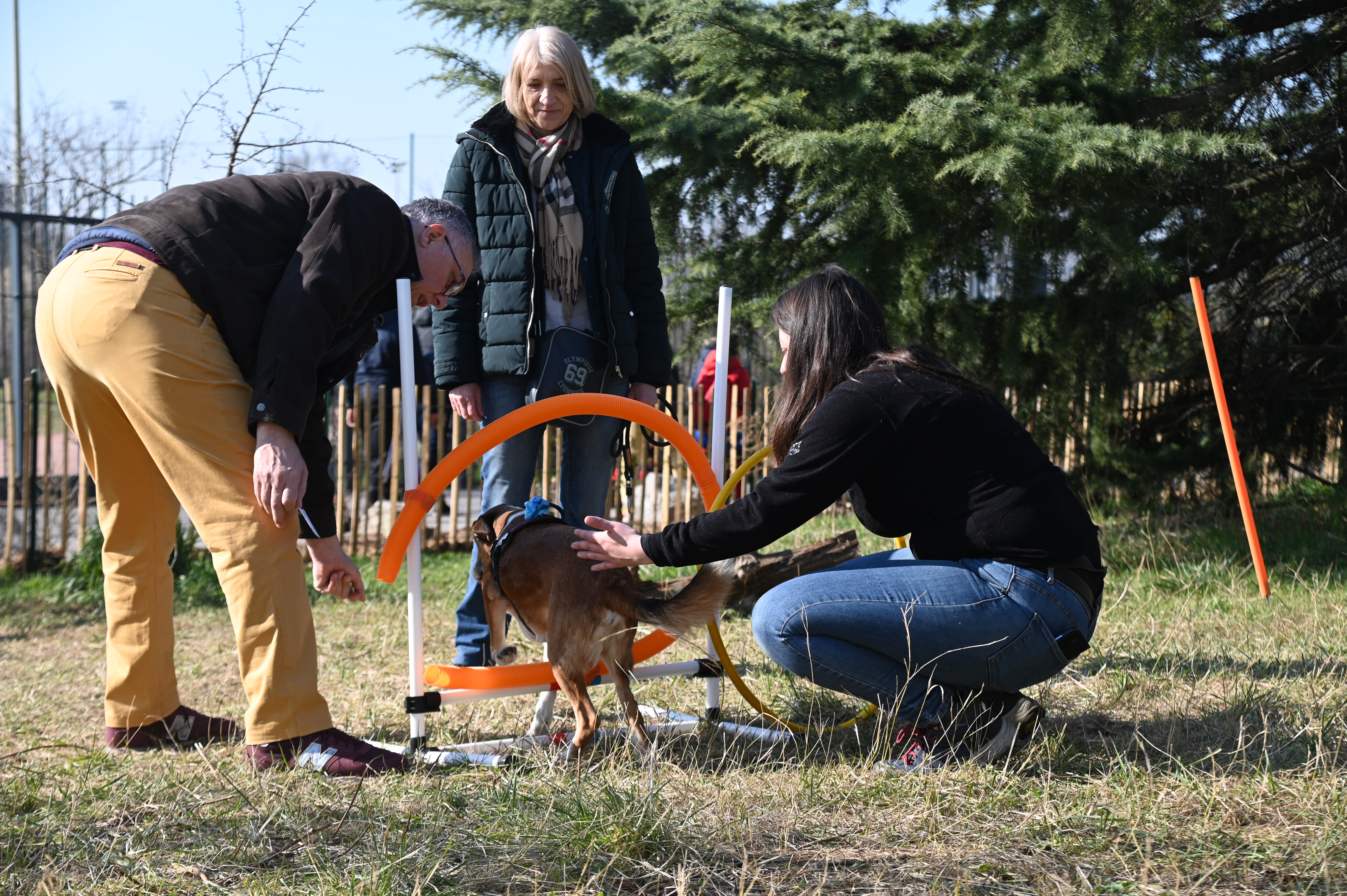 Animation d'agility lors de l'inauguration de l'aire d'ébat canine - 1 