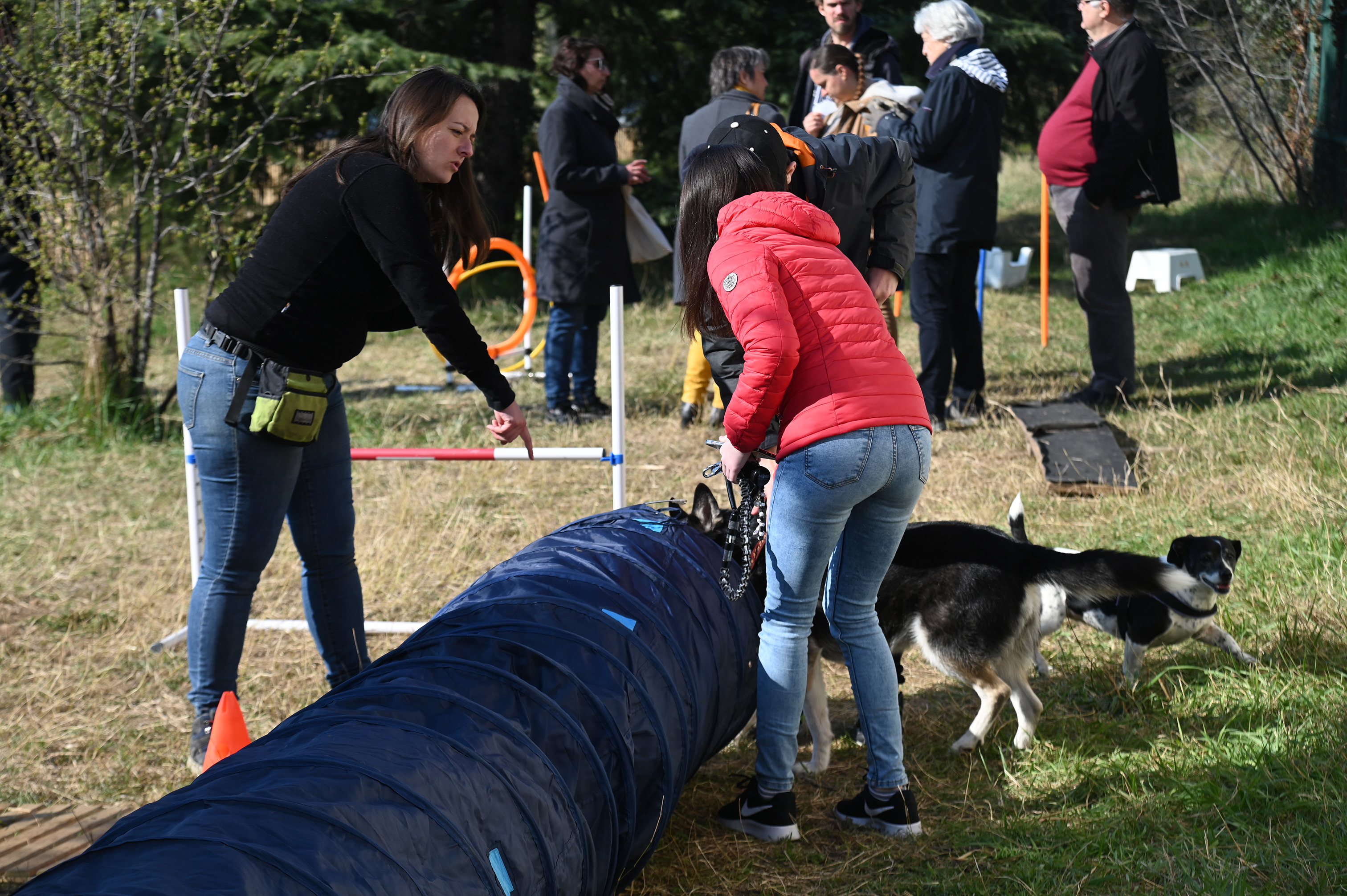 Démonstration d'agility lors de l'inauguration - 10 
