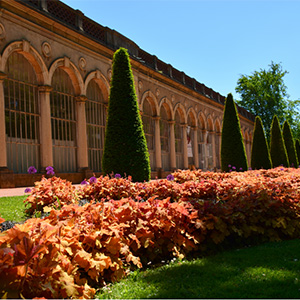 Expositions à l'Orangerie