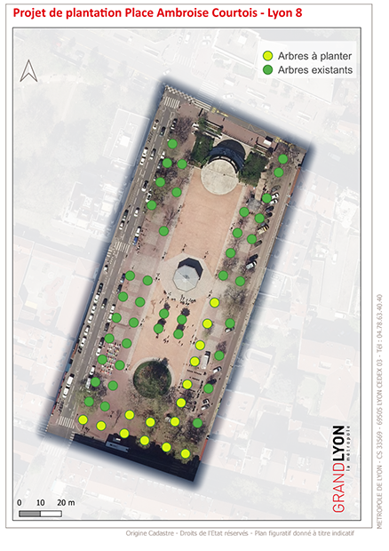 Plan de plantation des arbres sur la place Ambroise Courtois